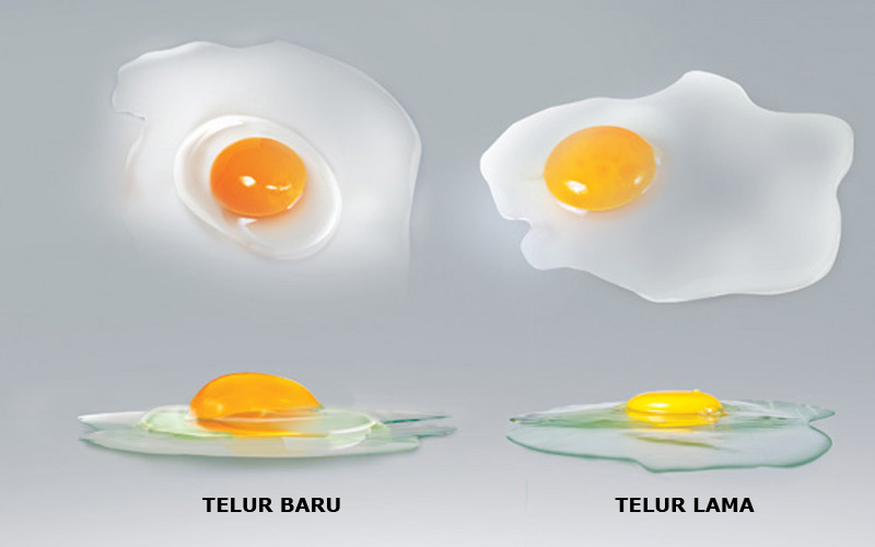 Jangan Sampai Salah Beli, Ini 4 Tanda Telur Ayam Tidak Segar